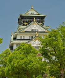  A743501